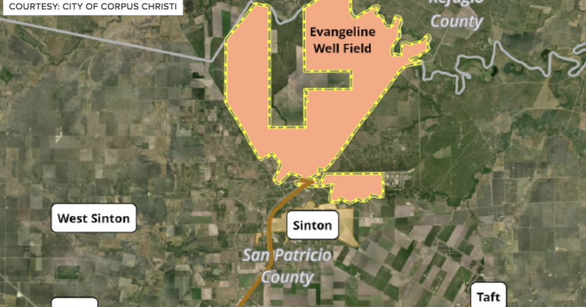 Judge grants standing to Evangeline project opponents