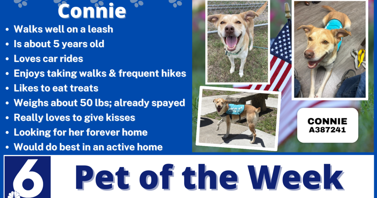 Pet of the Week: Connie