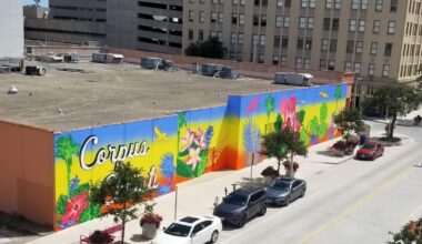 Texas muralist Cameron Walls hides Easter eggs in his community murals