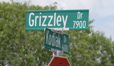 Southside Corpus Christi resident frustrated over Grizzly Drive's condition