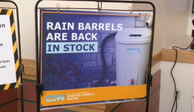 Rain barrels are back in stock with the City of Corpus Christi