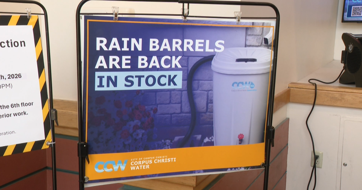 Rain barrels are back in stock with the City of Corpus Christi