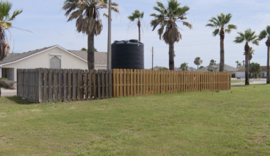 Padre Island park fence set to become community mural after art contest