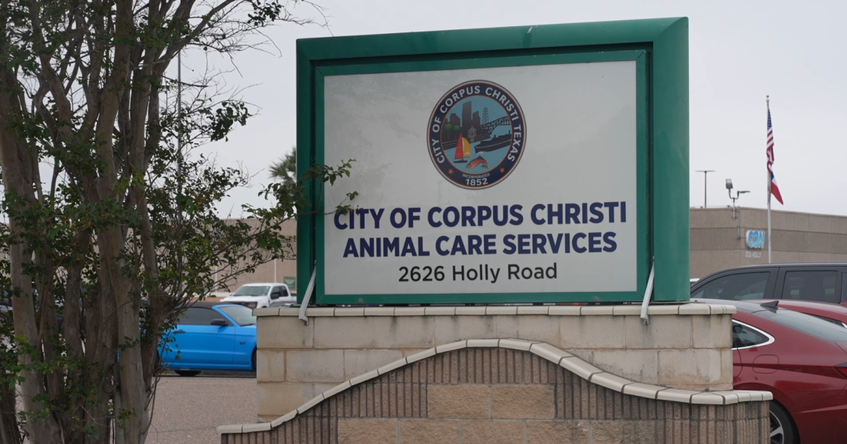 Corpus Christi pulls job offer for animal care services director