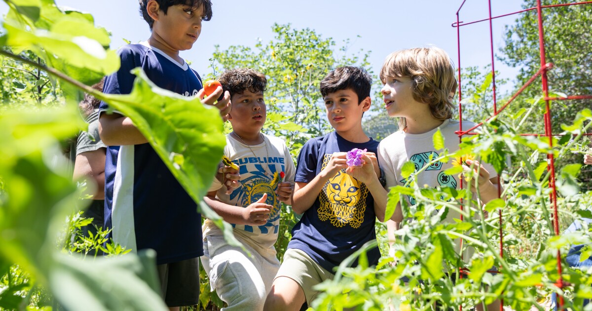 Austin's Becker Elementary says goodbye to award-winning garden