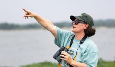Austin birders compete in Great Texas Birding Classic