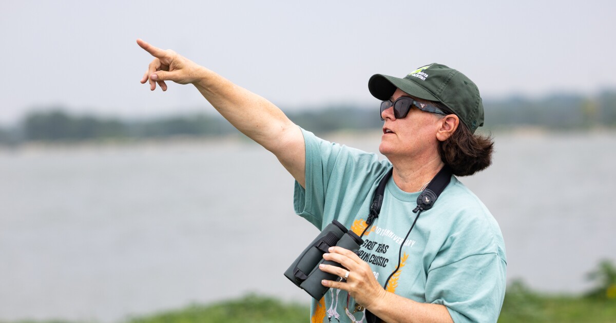 Austin birders compete in Great Texas Birding Classic