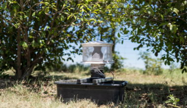 West Nile Virus season begins in Tarrant County
