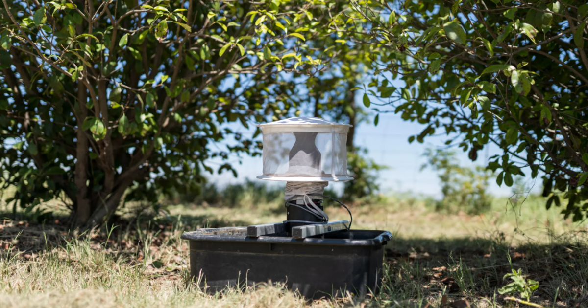 West Nile Virus season begins in Tarrant County