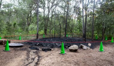 Pease Park troll in Austin burns down