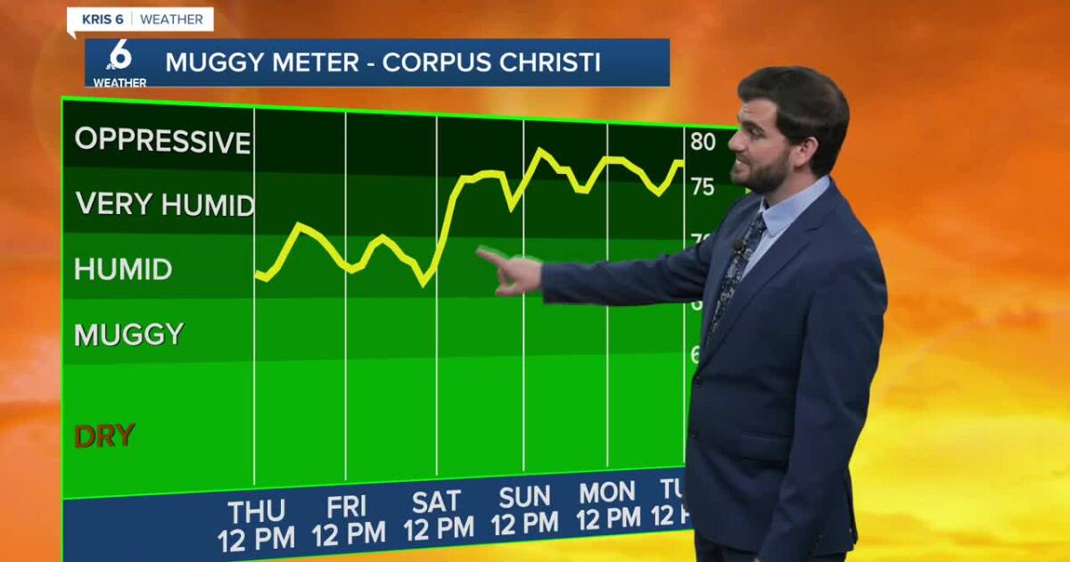We're in store for a toasty Thursday with more humidity going into the weekend