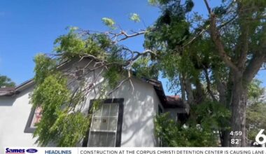 Coastal Bend thunderstorm snaps trees, damages homes and knocks out power