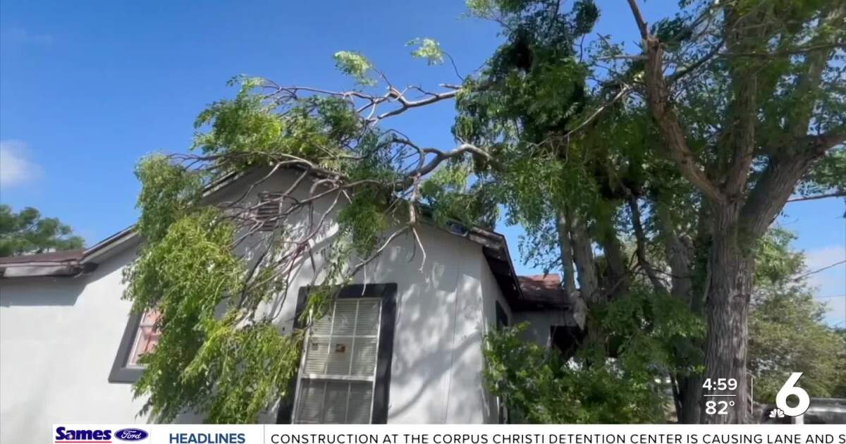Coastal Bend thunderstorm snaps trees, damages homes and knocks out power