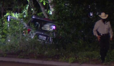 Dallas crash: 2 dead, 2 hospitalized after SUV hits tree in Pleasant Grove