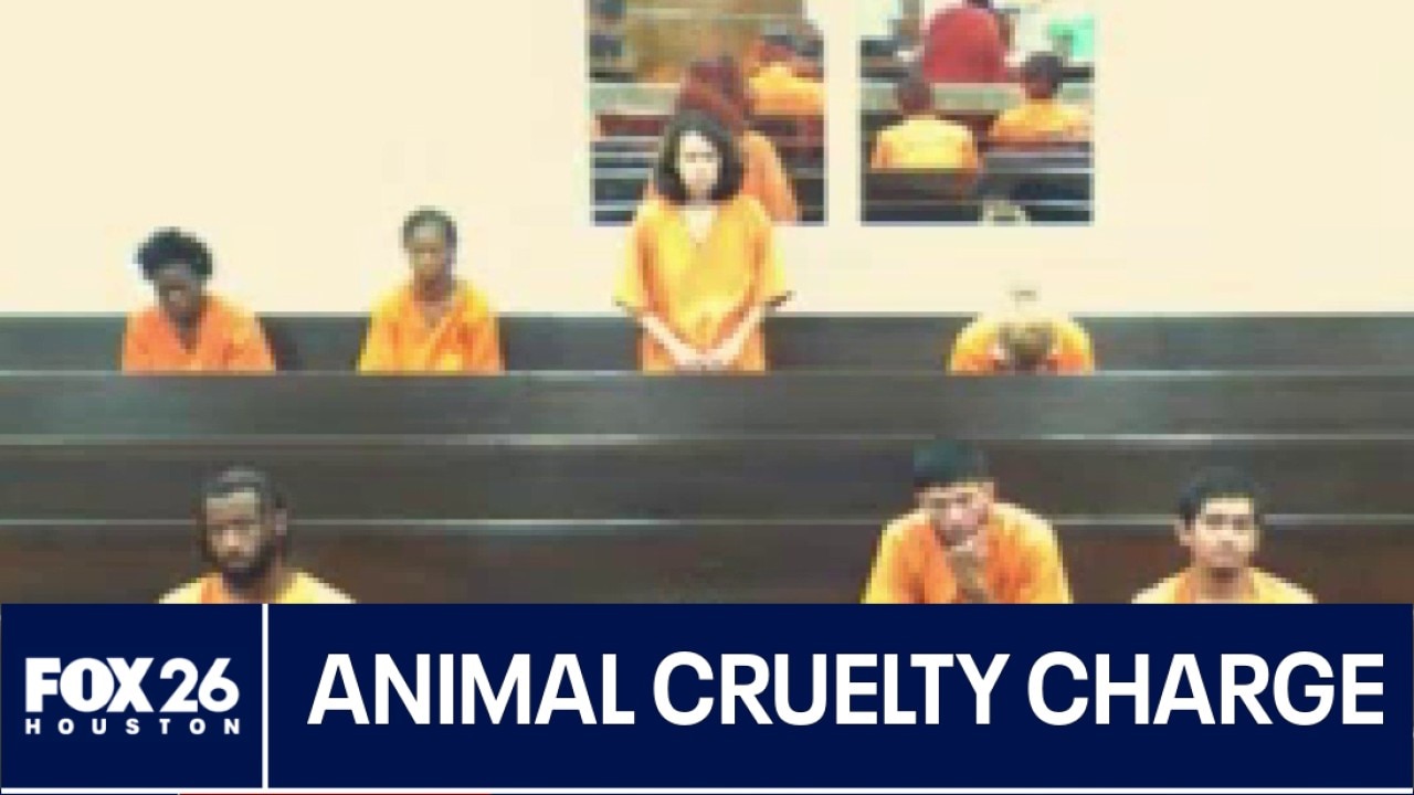 Deer Park woman charged with animal cruelty