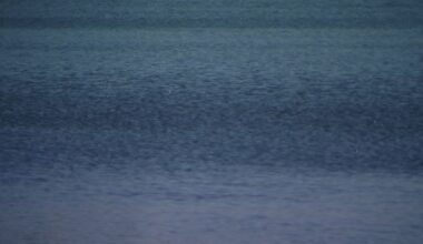 Body found off Galveston coast during coast guard training