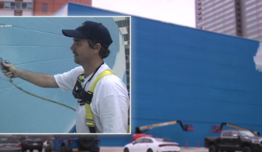 'They picked the wrong artist': Wyland takes legal action over erased Dallas 'Whaling Wall' mural
