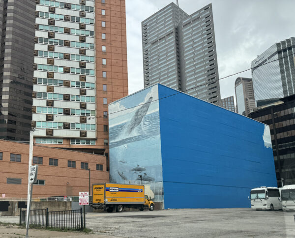 A five-story building in a downtown cityscape with a whale-themed mural mostly covered over in plain blue paint.