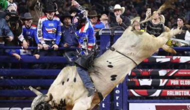 Top things to do in Fort Worth this weekend (May 14-17, 2026)