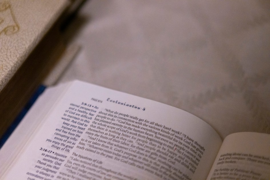 Which Bible texts are in Texas’ proposed student reading list?