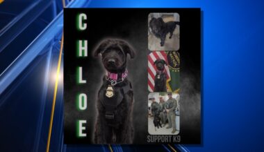 El Paso rescue dog is first in Border Patrol K9 program