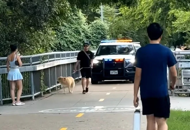 Screenshot of video shared by ABC News on Instagram