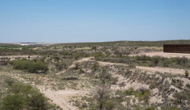 Rodents could be to blame for New World Screwworm in Texas