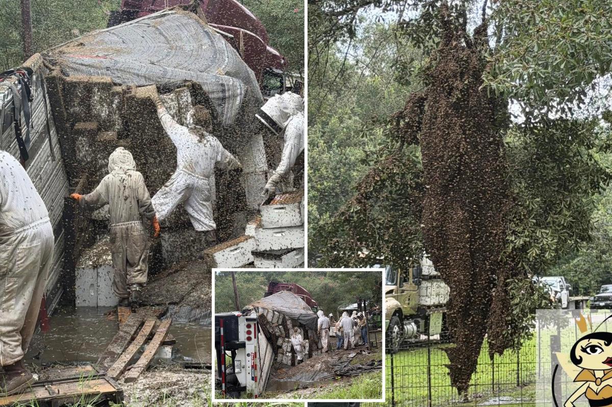 Millions of bees escape after a truck carrying hives crashes in Texas