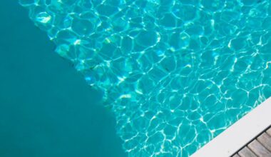 McKinney Apex Centre drowning claims child’s life