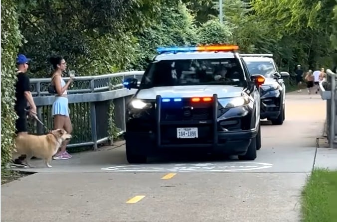 The Dog Was Paying Attention. The Owner Wasn't. Dallas Police Couldn't Let It Slide