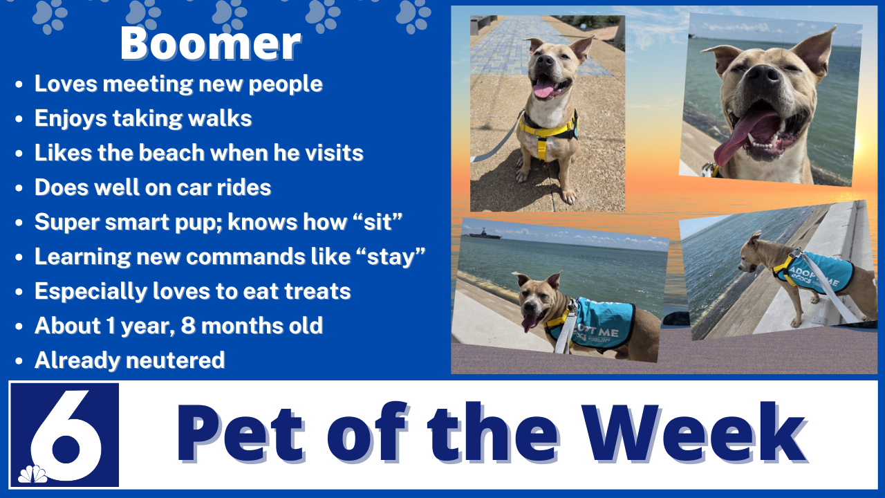 Copy of Pet of the Boomer