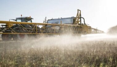 Texas Attorney General investigates over alleged chemicals in kids' food