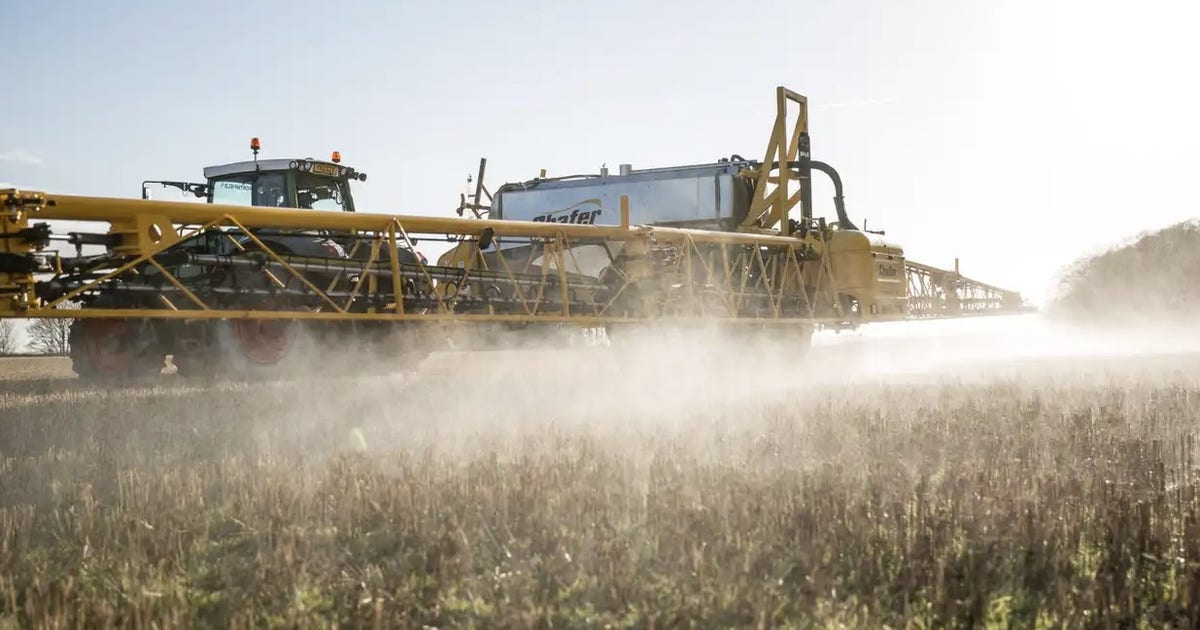 Texas Attorney General investigates over alleged chemicals in kids' food