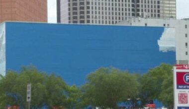 Detroit artist files $25M lawsuit against FIFA, city of Dallas over covered whale mural