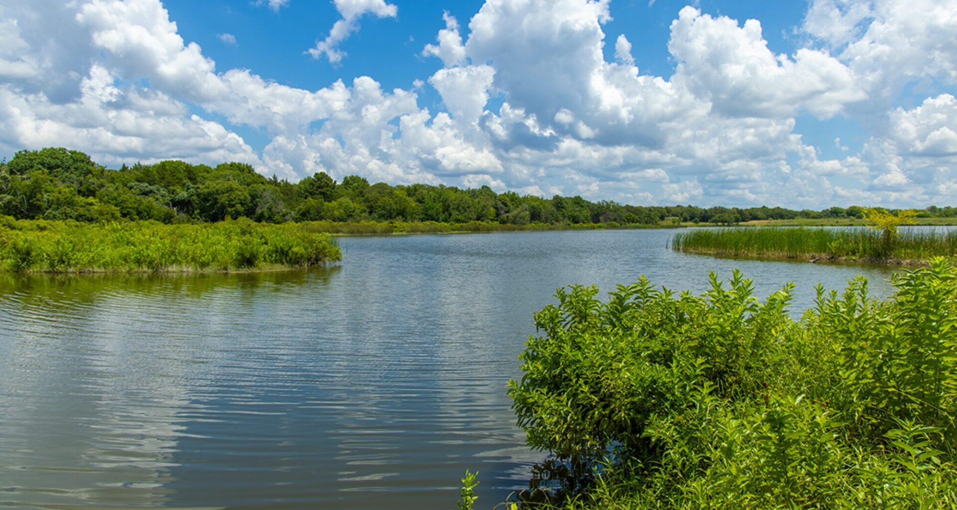 The Trinity River Watershed, located in parts of the LBJ National Grasslands, is a critical water source for Texans living downstream.