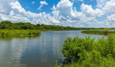 The Trinity River Watershed, located in parts of the LBJ National Grasslands, is a critical water source for Texans living downstream.
