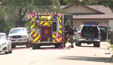 ‘He had bites all over his body’: Man describes helping neighbor after Northeast Side bee attack