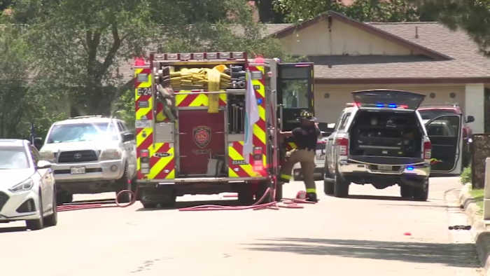 ‘He had bites all over his body’: Man describes helping neighbor after Northeast Side bee attack