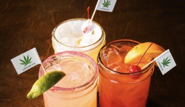Logan’s Roadhouse joins Texas THC drink boom with new cocktails