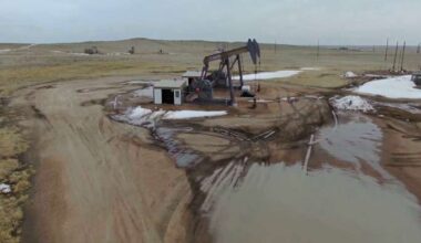 Heads up Houston: Top oil execs predict gas prices to spike again