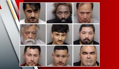 Prostitution crackdown lands at least 9 men in jail, BCSO says
