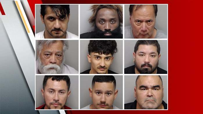Prostitution crackdown lands at least 9 men in jail, BCSO says