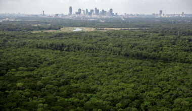 Council member Jaime Resendez rode his bike on the Trinity Forest Spine Trail in Dallas in July 2025.