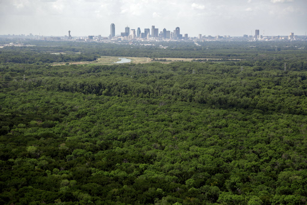 Council member Jaime Resendez rode his bike on the Trinity Forest Spine Trail in Dallas in July 2025.