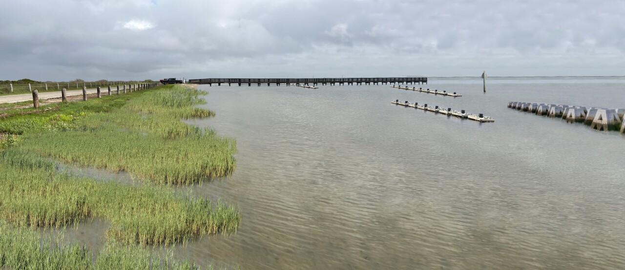 Packery Channel Living Shoreline View 2.jpg