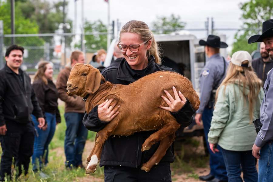 Goat grazing program tackles weeds at El Paso County Jail