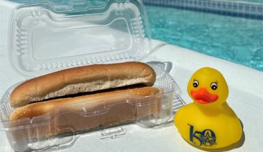 Dogs, Ducks and Dives | City of Arlington, TX