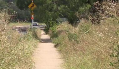 Overgrown lot owned by City of Austin trimmed after months of 311 requests