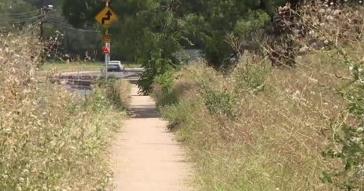 Overgrown lot owned by City of Austin trimmed after months of 311 requests