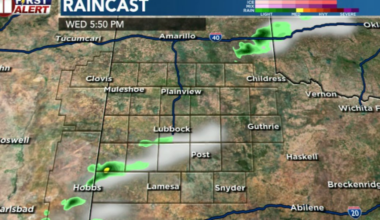 Dangerous heat, late-day storms expected across South Plains